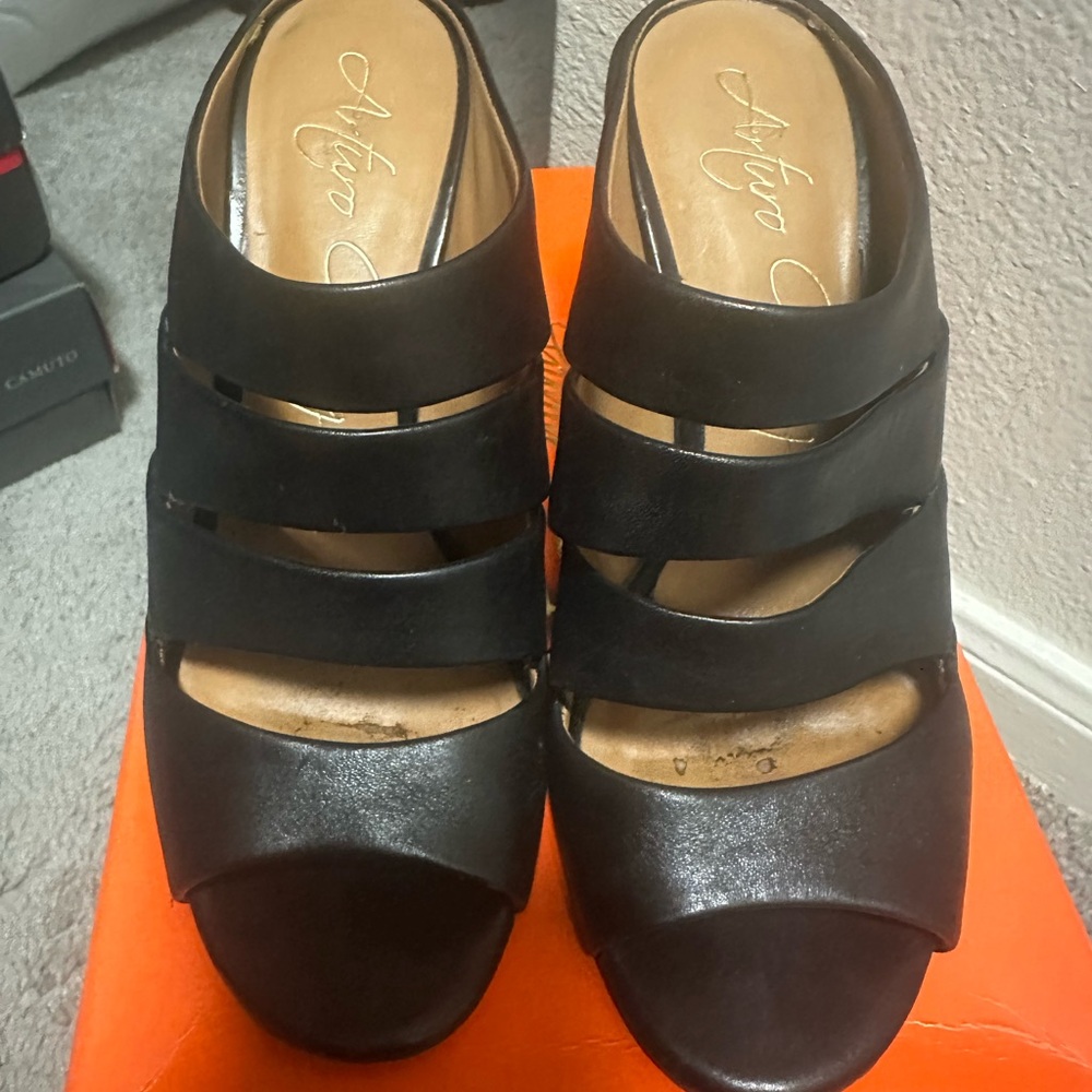 Arturo Chiang Black Mules with Chunky Heel